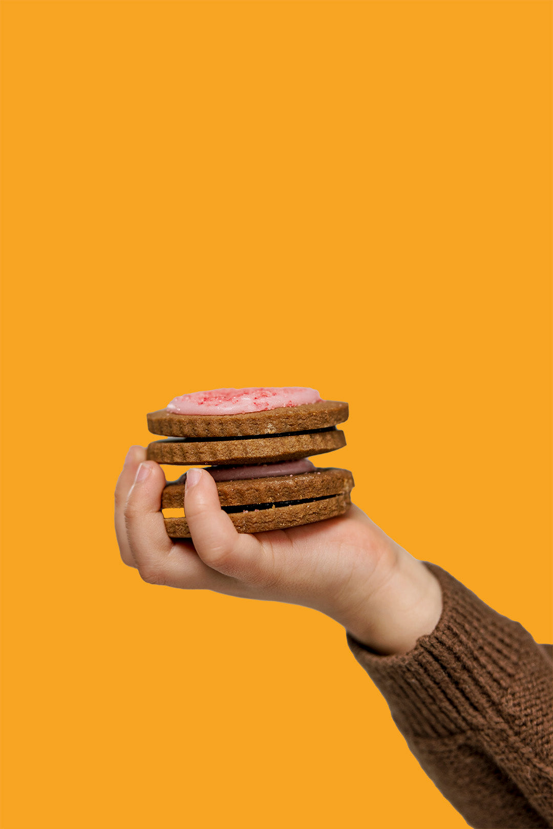 Biscuit Pack, Belgium