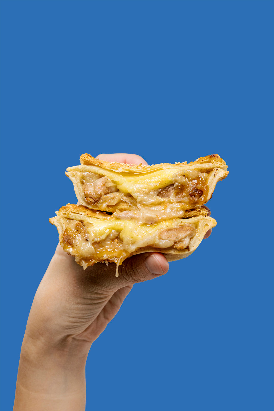 Chicken, Apricot & Camembert