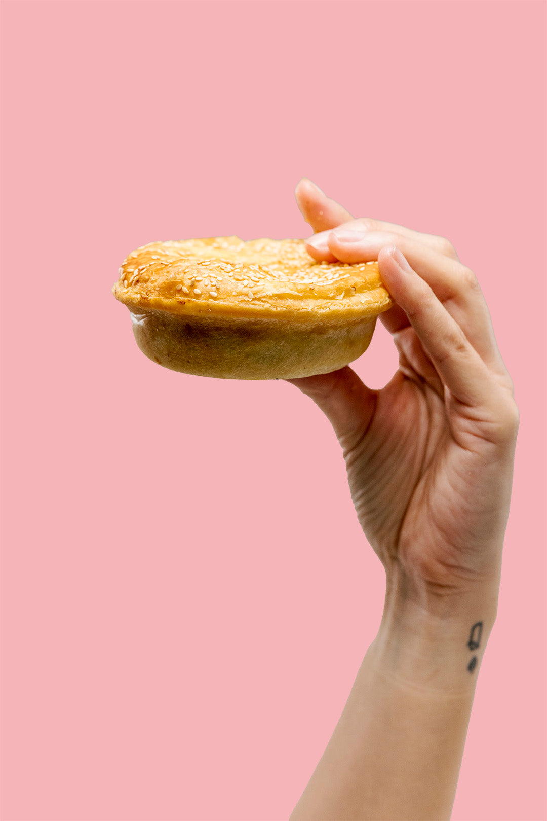 Chicken, Apricot & Camembert