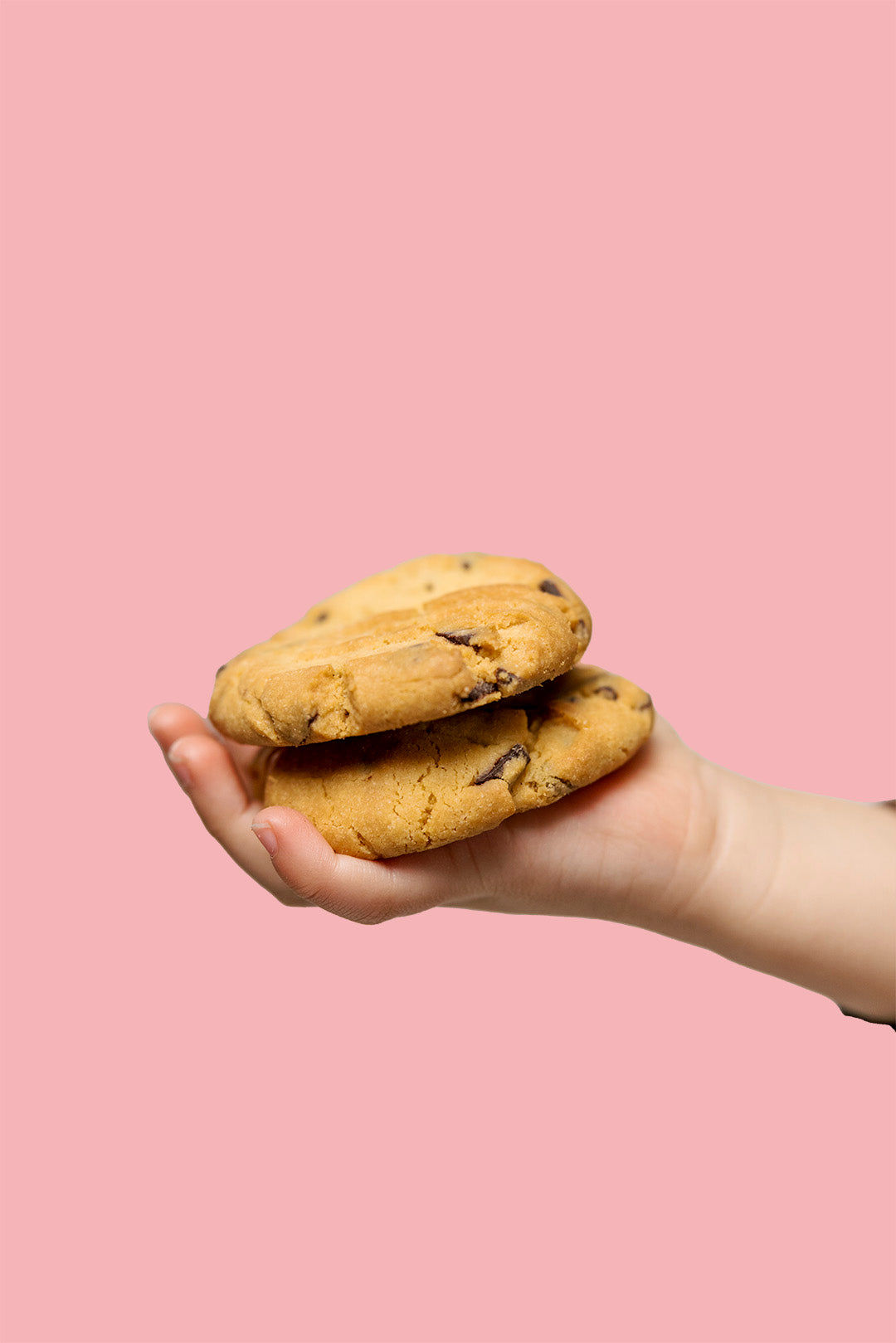 Biscuit Pack, Chocolate Chip