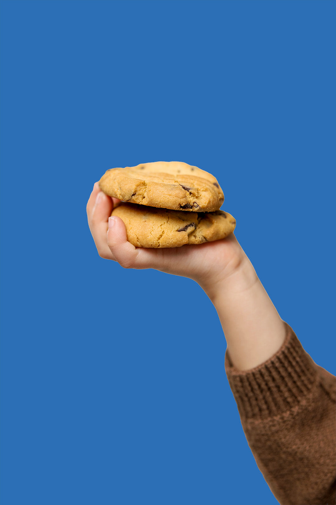 Biscuit Pack, Chocolate Chip